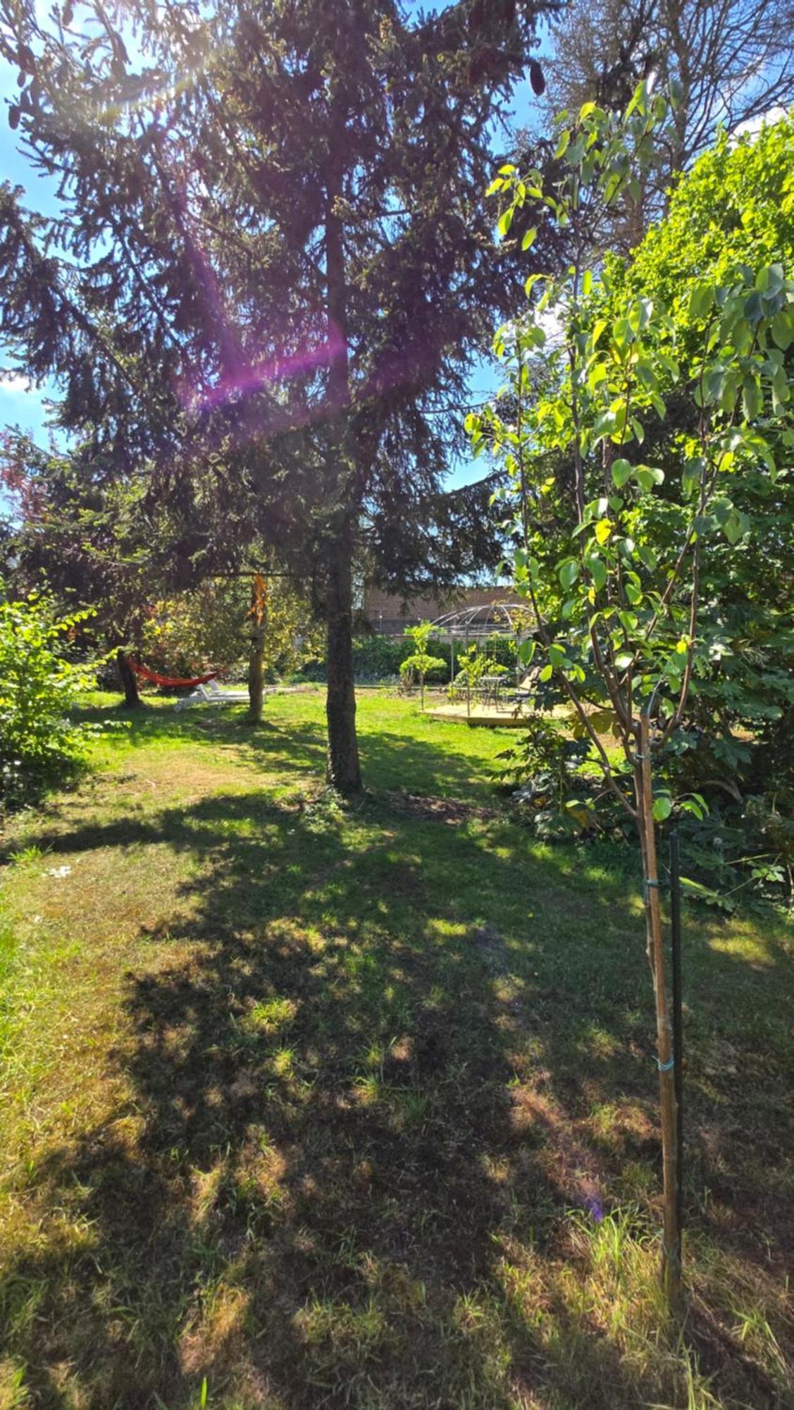 Osti